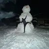 Cole Watkins - @colewatkins654 - TikTok