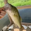 ColewellS - @group.cole - TikTok