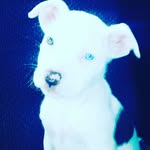 waylon wilder - @colewilder44 - Instagram