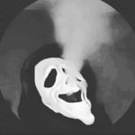 Cole Wilkinson - @cole_wilkinson_ - Instagram