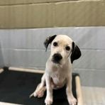 Cole Wilkinson - Facebook