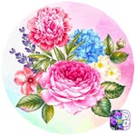 Colleen Bishop - @colleen.bishop.90281 - Instagram