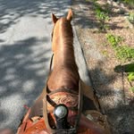 Colleen Region Bishop - @colleenbishop434 - Instagram