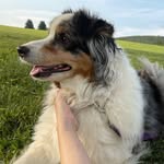 Colleen Bowers - @colleenbowers19 - Instagram