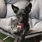Colleen Bowers - @colleenbowers62 - Instagram