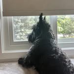 Colleen Bowers - @c.a.bowers - Instagram