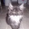 Colleen Bowers - @colleenbowers - TikTok