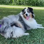 Colleen Bowers - @bowerscolleen1 - Instagram