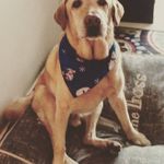 Coleen Brown - @happynhip - Instagram