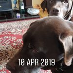 Coleen Campbell - @campbell_coleen - Instagram