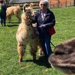 Coleen Campbell - @triadgirl52 - Instagram