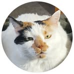 Colleen Campbell - Facebook