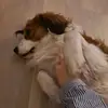 Colleen.Cantrell - @berneaqeu4c - TikTok