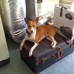 Colleen Casey - @cpcandmango - Instagram