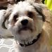 Colleen Combs - Facebook