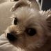 Colleen Cunningham Treaster - Facebook