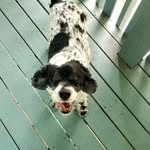 Coleen Danielson - @coleendanielson - Instagram