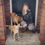 Colleen Daugherty - @colleen_mostly.dogs.and.plants - Instagram