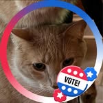 Colleen Daugherty - @catzdaug - Instagram