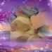 Coleen Fields - Facebook