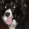 Coleen Fleming - @coleenfleming - TikTok