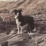 Coleen Fleming - @coleenfleming - Instagram