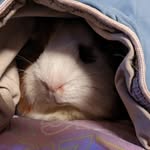 Colleen Fleming-Kost - @colleenflemingkost - Instagram
