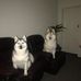 Colleen Ford - Facebook