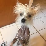 Colleen Greer - @greercolleen - Instagram