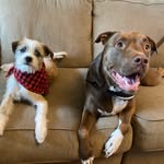 Nicole Coleen Greer - @chefnikig - Instagram