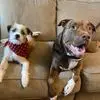 nicolecoleengreer - @nicole.coleen.gre - TikTok