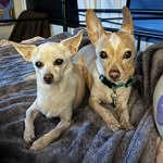 Coleen Hall - @justcoco1962 - Instagram