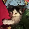 Colleen Hall - @colleen.hall11 - TikTok