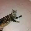 Colleen Joseph - @colleen.joseph8 - TikTok