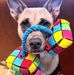 Colleen Morrow - Facebook