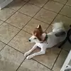 COLEEN RYAN - @coleen.ryan - TikTok