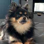 Coleen Stuart - @coleenstuart8 - Instagram