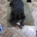 Colleen Stuart - Facebook
