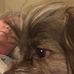 Colleen Stuart - Facebook