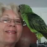 Colleen Swartz - @colleen.swartz.507 - Instagram