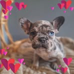 Colleen Thomas - Facebook