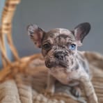 Colleen Thomas - Facebook