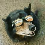 @cole_man_walker - Instagram