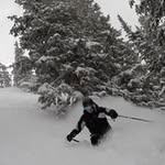 Coleman Walker - @colemanwalker4 - Instagram