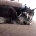Coleman Wallace - @nameless_password - Instagram