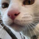 Colette McKernon Alexander - @colettemousemarie - Instagram