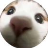 colette_anthony - @colette_anthony - TikTok