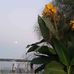 Colette Bergeron - Facebook