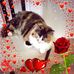 Colette Bergeron - Facebook