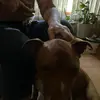 Colette Brett - @colette.brett5 - TikTok